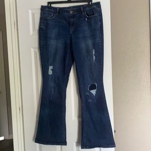 Lane Bryant, bootcut distressed denim jeans. 18 L